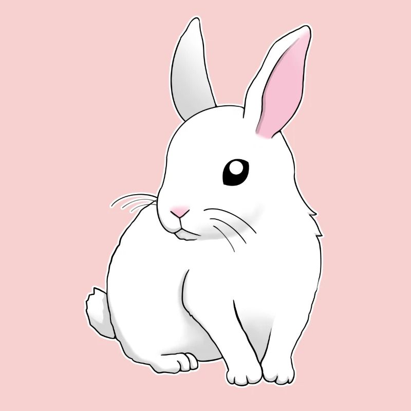 weißer Hase sitzend