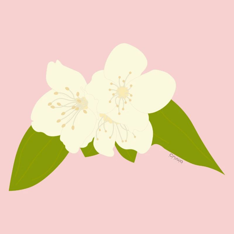 Jasmine