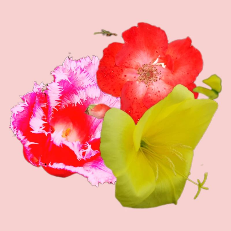 Fleur