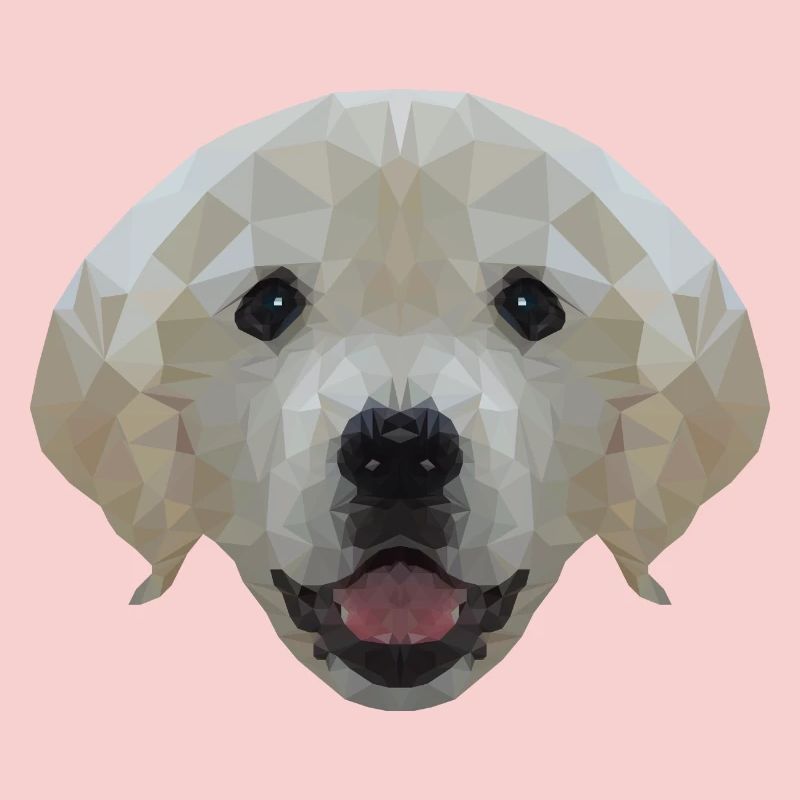 Chien Labrador Polygone