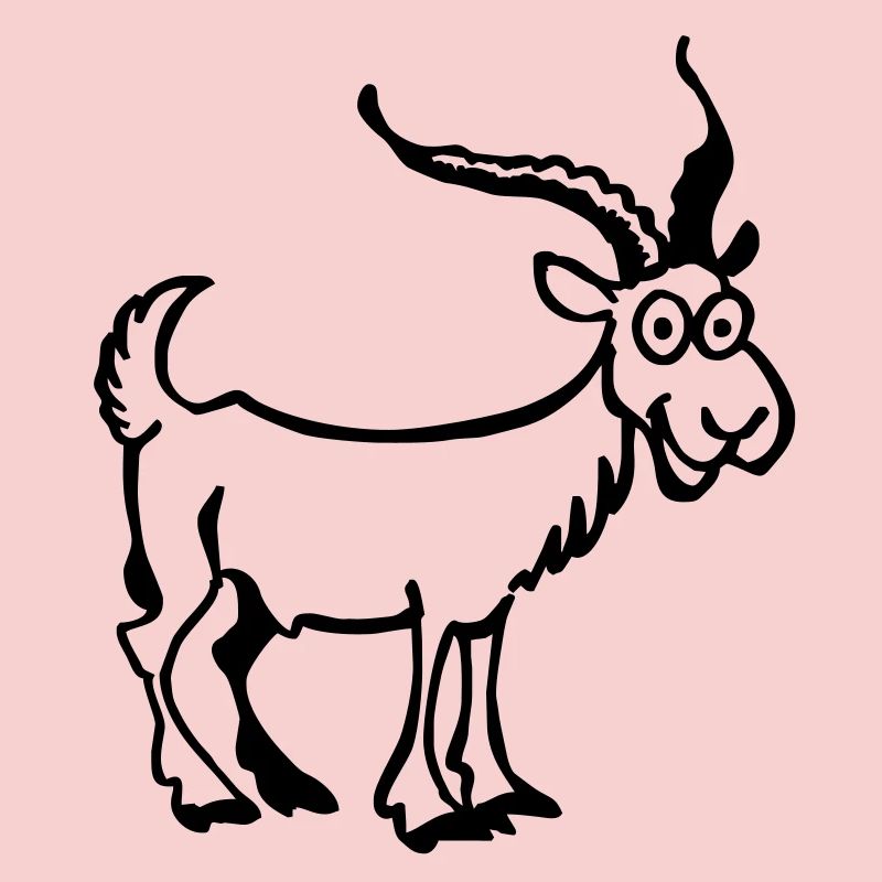 Bouc