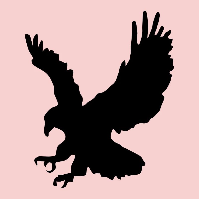 Piquée chasse Aigle
