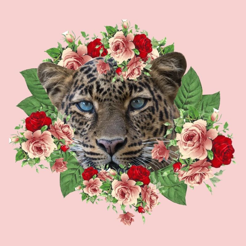 Leo The Cat