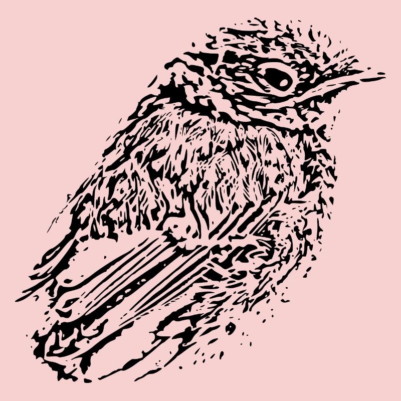 Oiseau