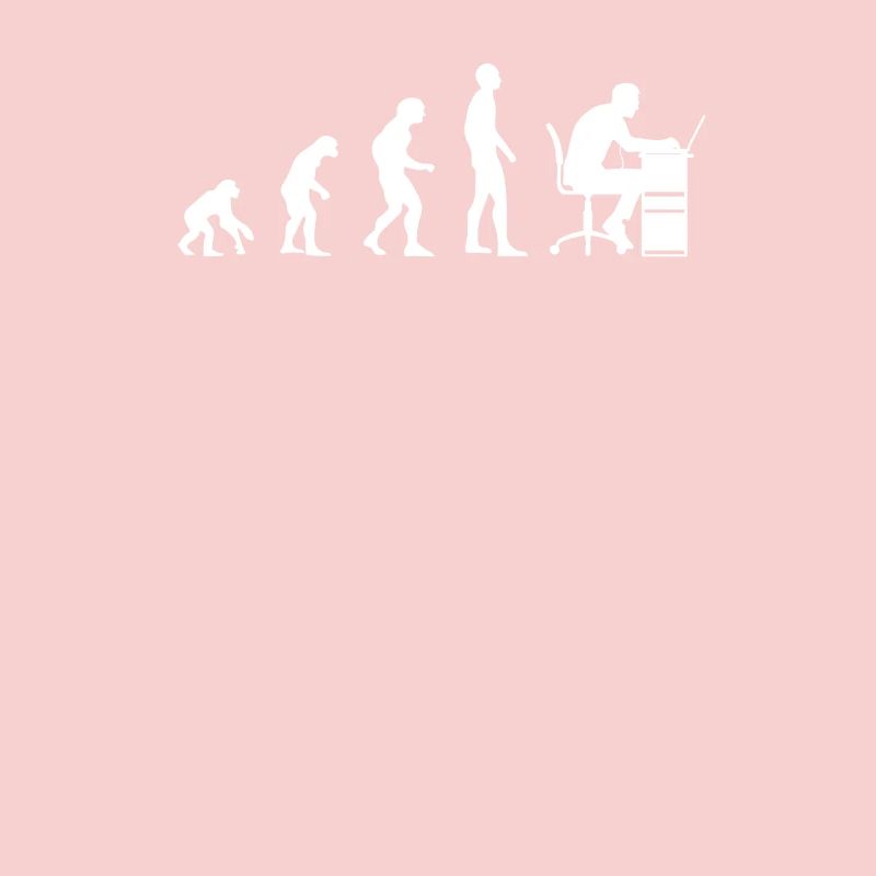 Programmeurs