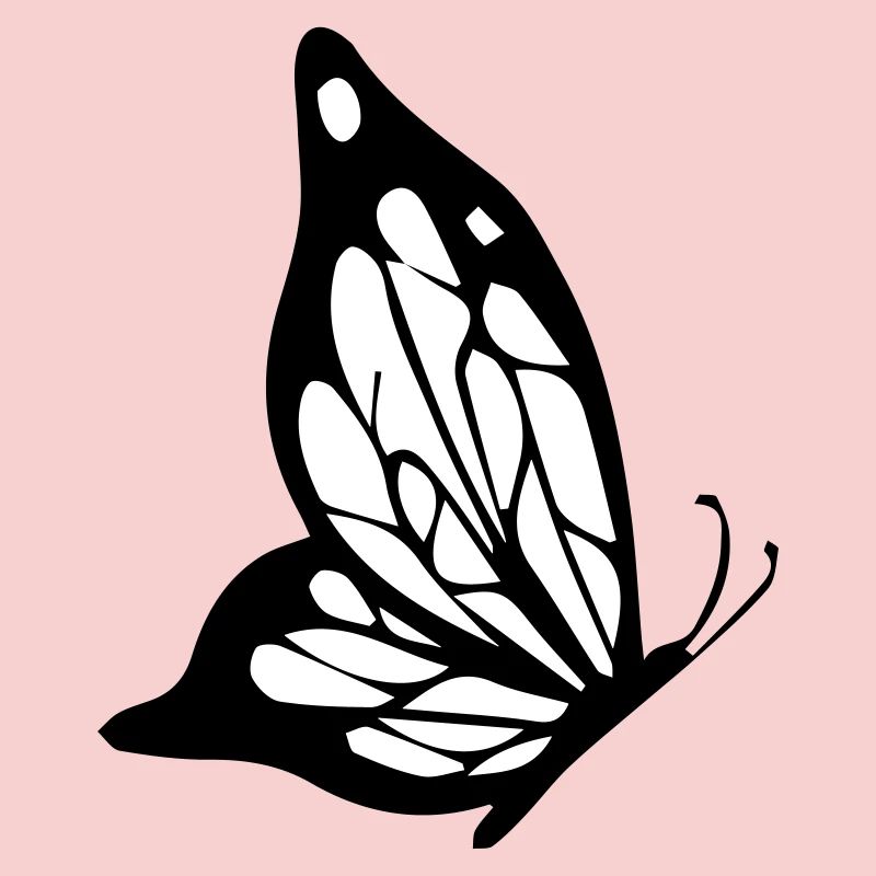 schmetterling