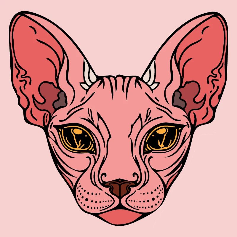 Sphinx Cat