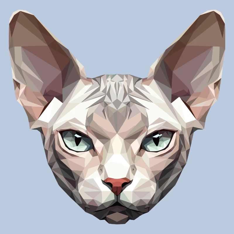 Sphynx Chat Sphynx Chat Chat Canadien Sphinx mignon