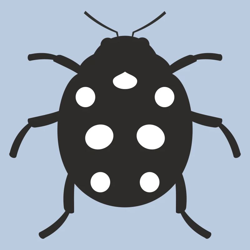 Conception de coccinelle