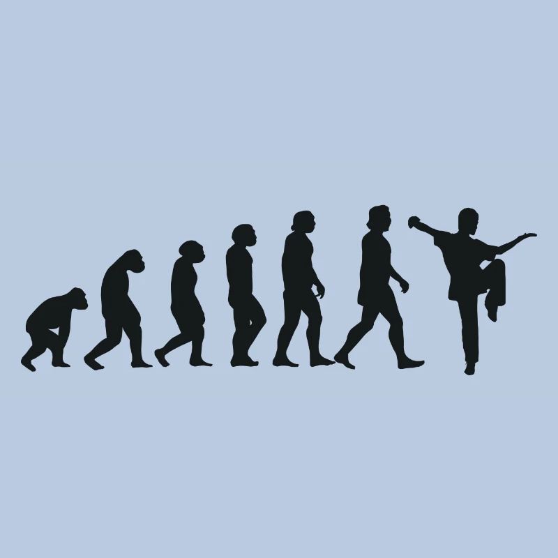 Évolution du Kung Fu