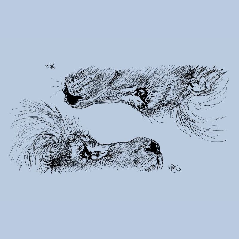 Double lion