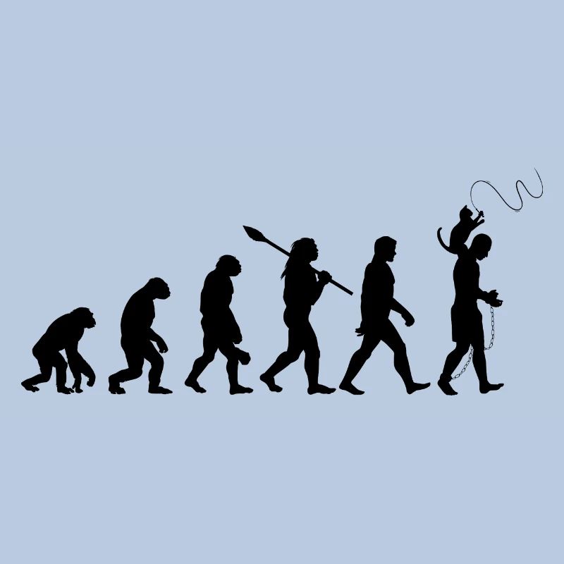 L'évolution du chat