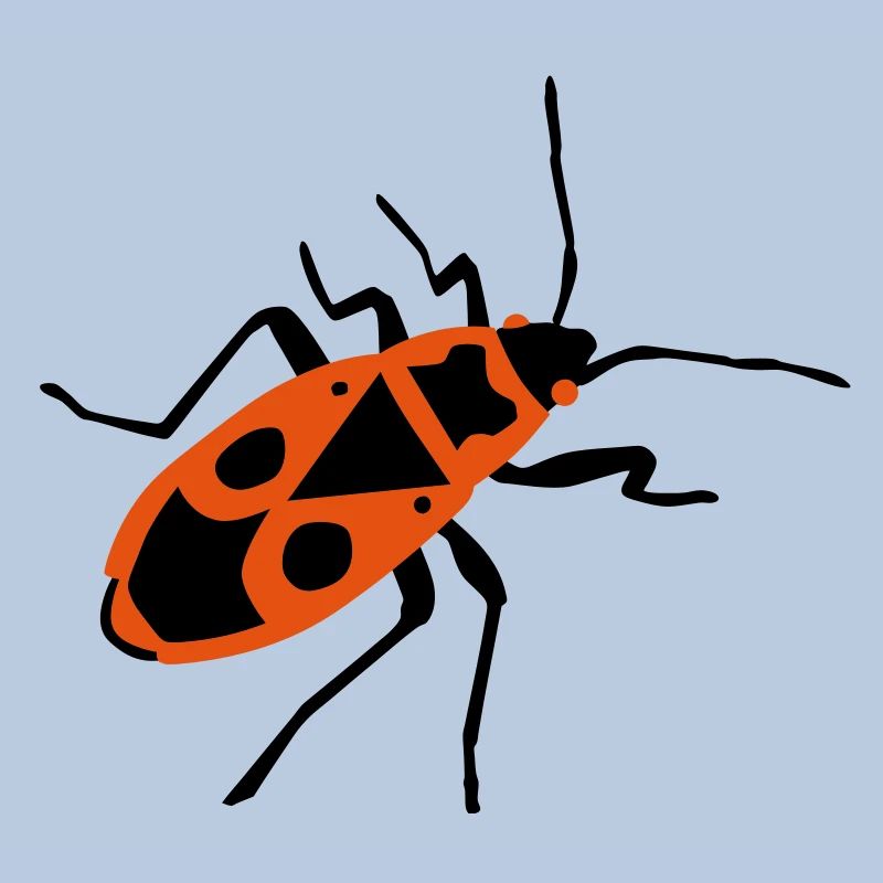 Fire beetle - insect - Firebug