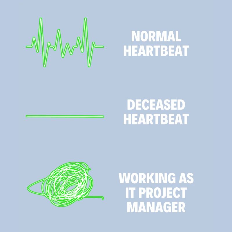 IT Project Manager Worker IT Computer