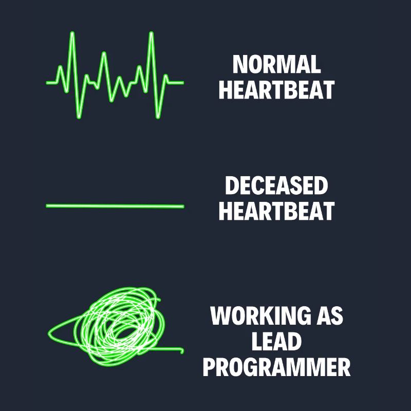 Lead Programmer Worker Funny Programmer