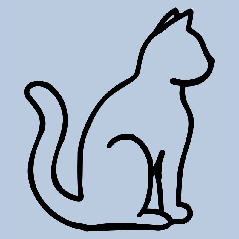 Chaton maison chat chat chaton