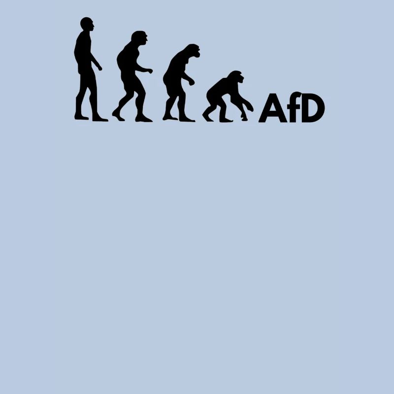 AfD Evolution
