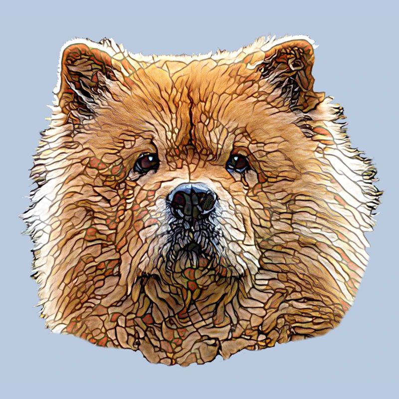 Chow Chow Visage