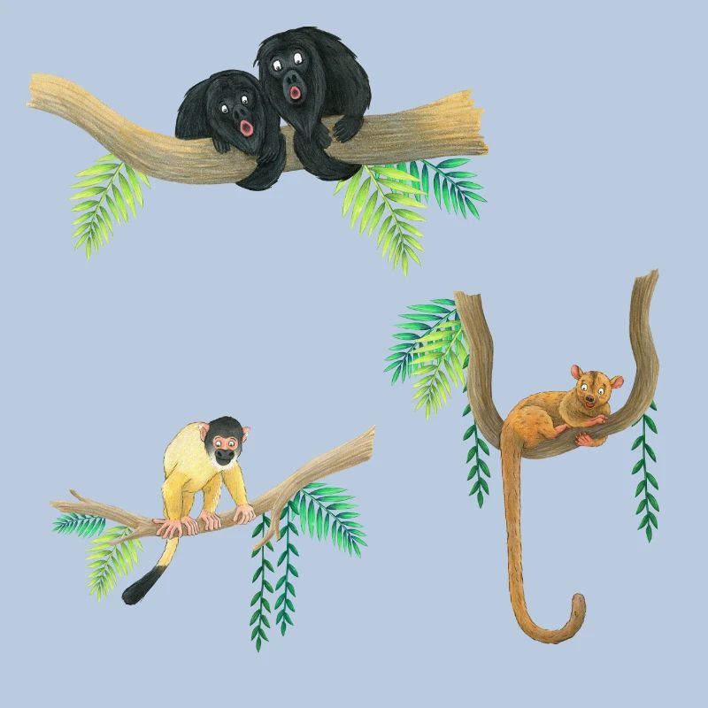 singes drôles