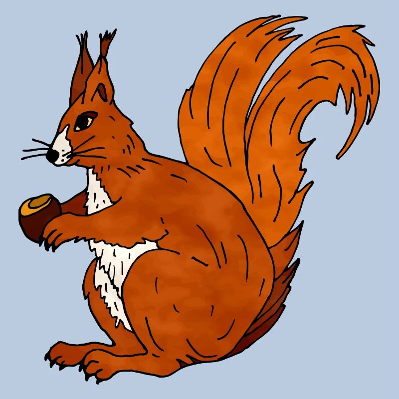 Squirrel