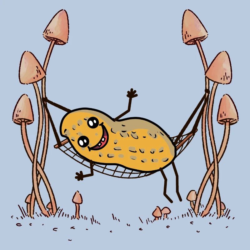 Peanut Peanuts Hammock Chill Hanging Nut