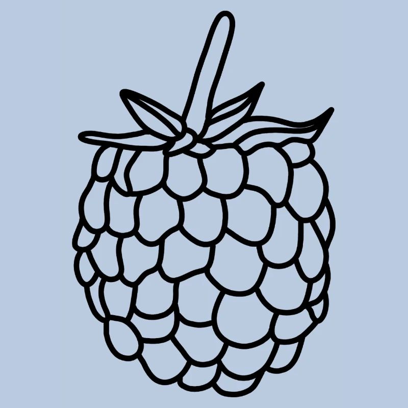 Framboises berry vitamines