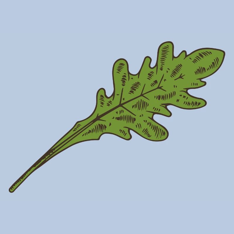 Arugula Salad Salad Leaf
