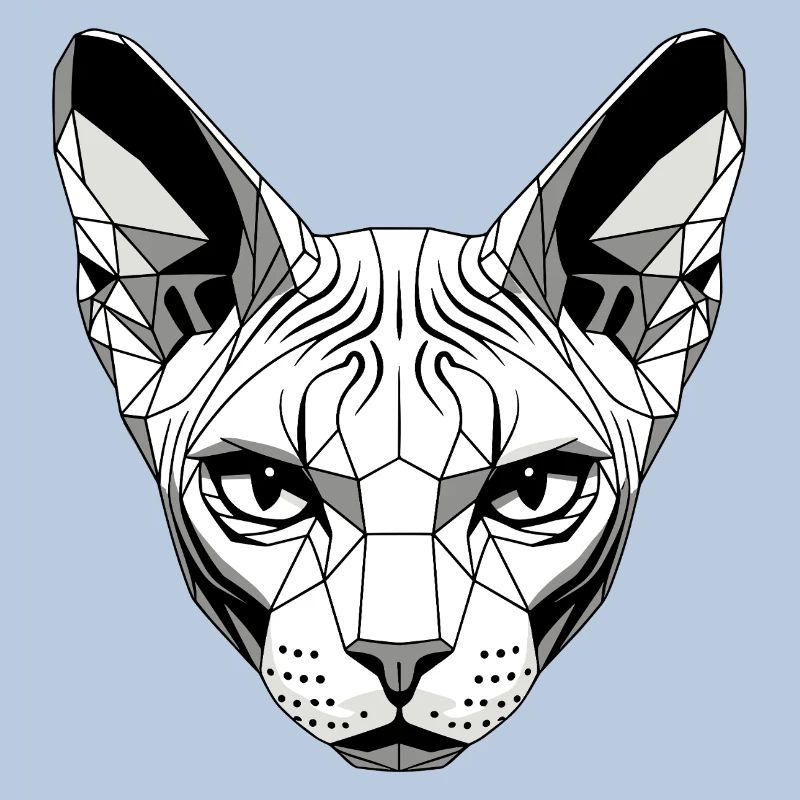 Sphynx Chat Sphynx Chat Chat Canadien Sphinx mignon