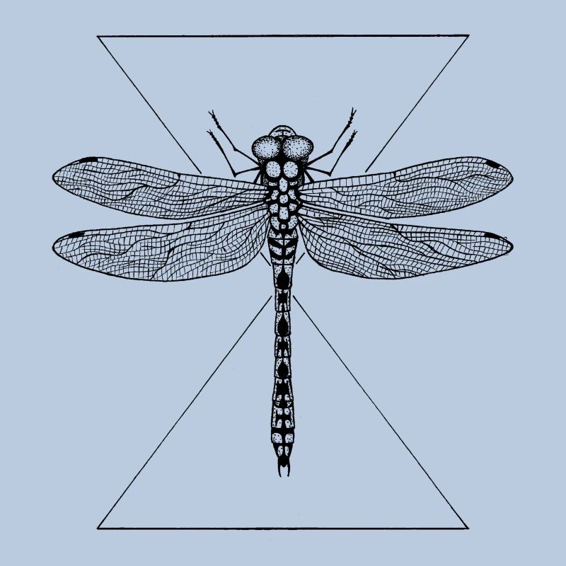 libellule