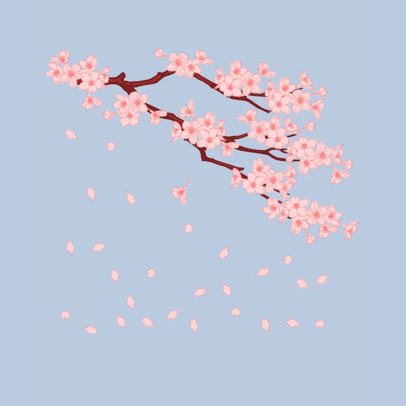 sakura