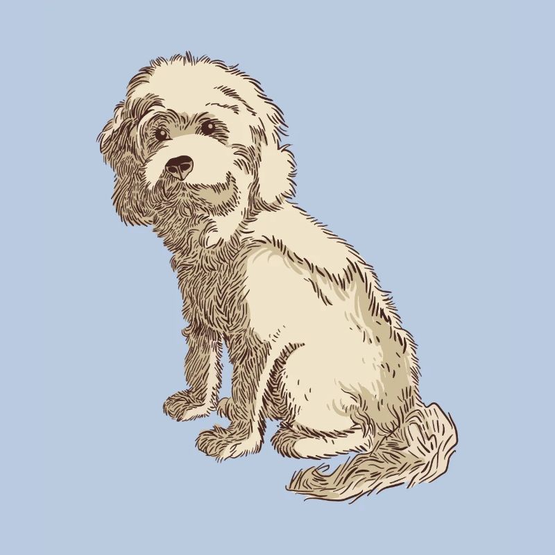 Cockapoo Hundezeichnung eines Cockapoo