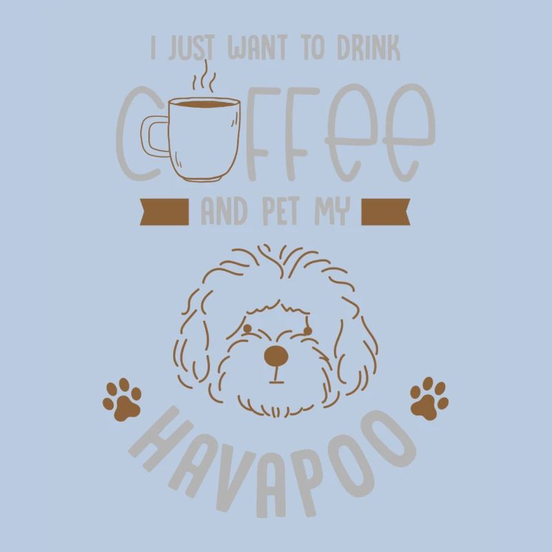 havapoo, havapoo Havanese, poodle,