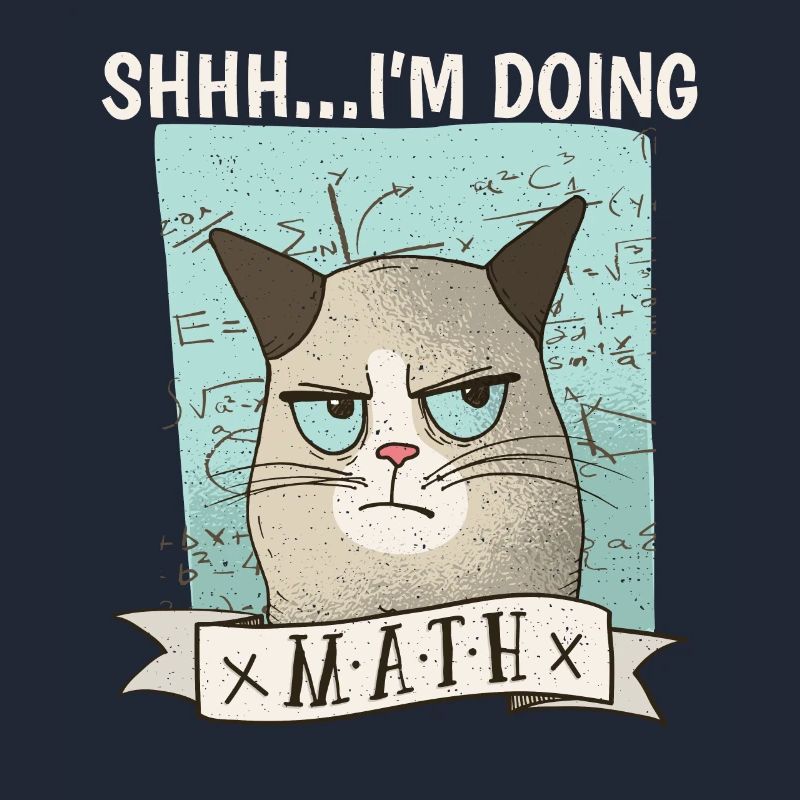 Shhh... I ́m doing Math Cat
