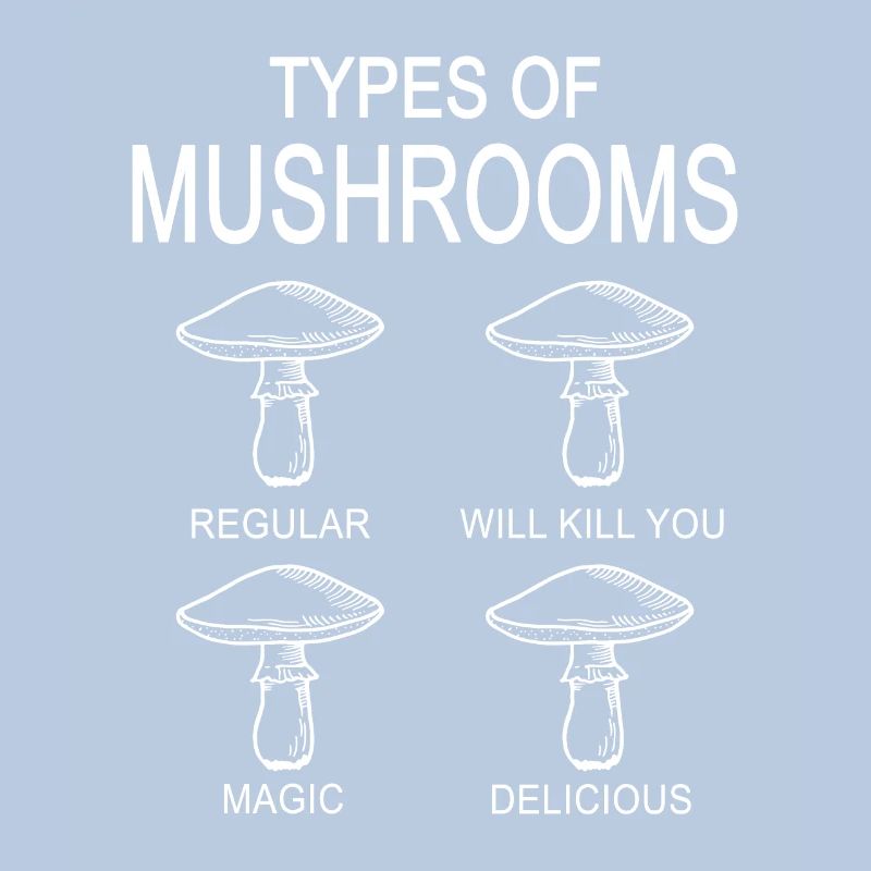 Types de champignons Champignons Champignons Cueillette de champignons