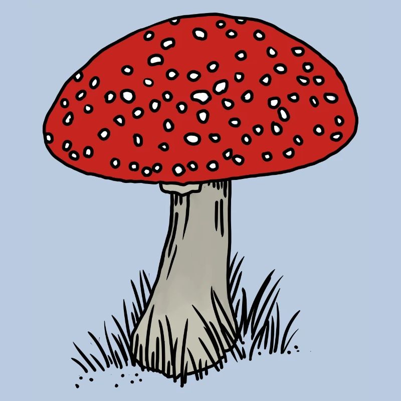 Toadstool coloré