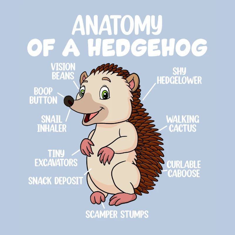 Anatomie d’un hérisson
