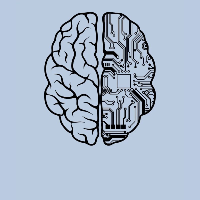 Programmeur Codeur - Développeur Programmation Brain Fun