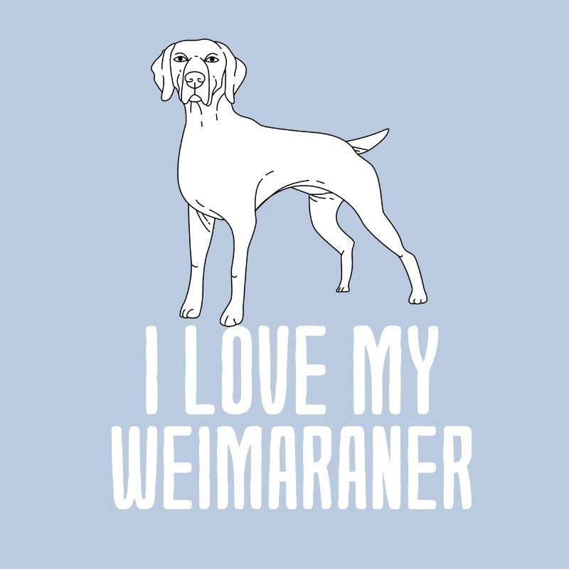 Weimaraner