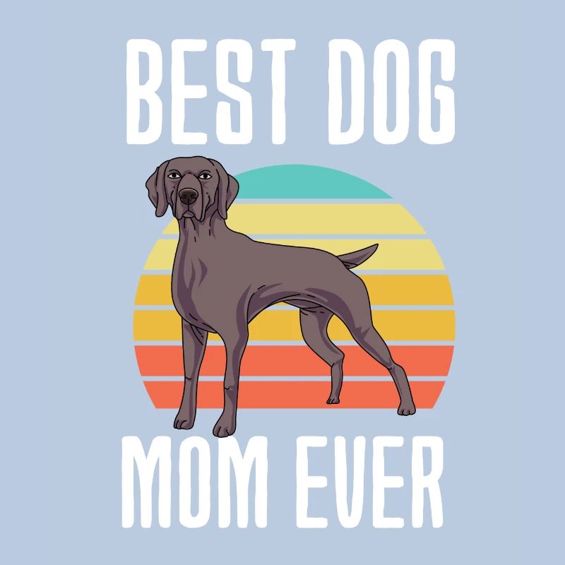 Weimaraner