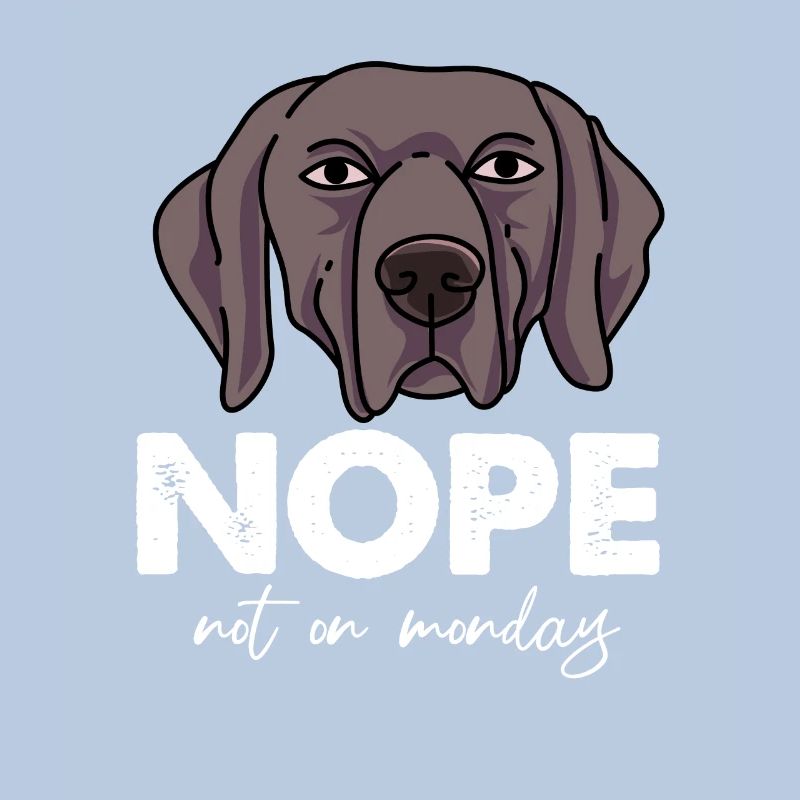 Weimaraner