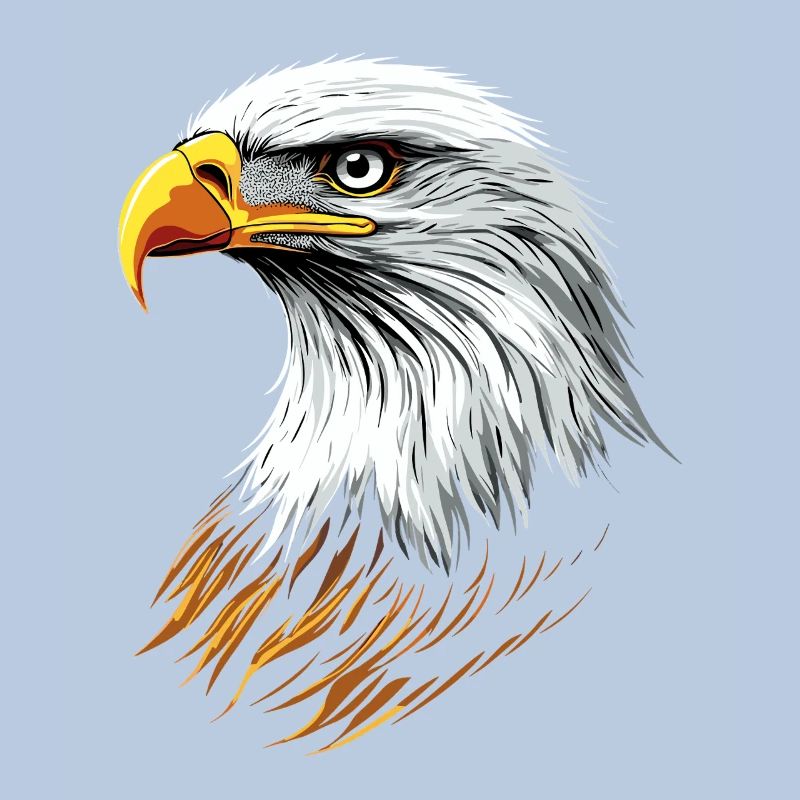 Eagle Bald Eagle Golden Eagle White-tailed Eagle