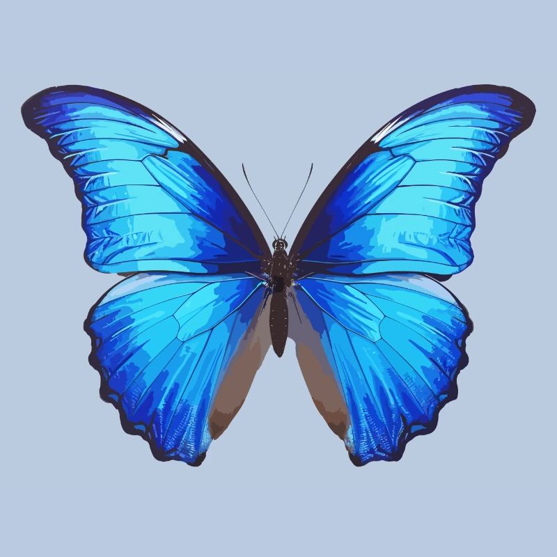 Morpho Papillon Bleu