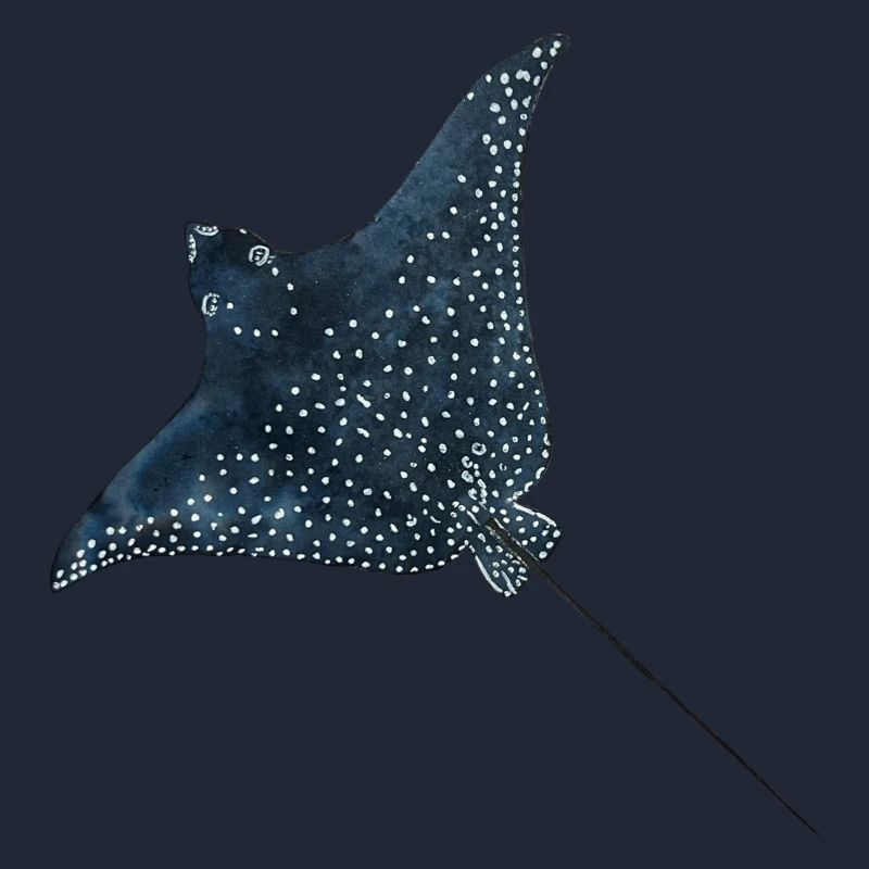 Rays Eagle Rays Stingrays Reef Plongée