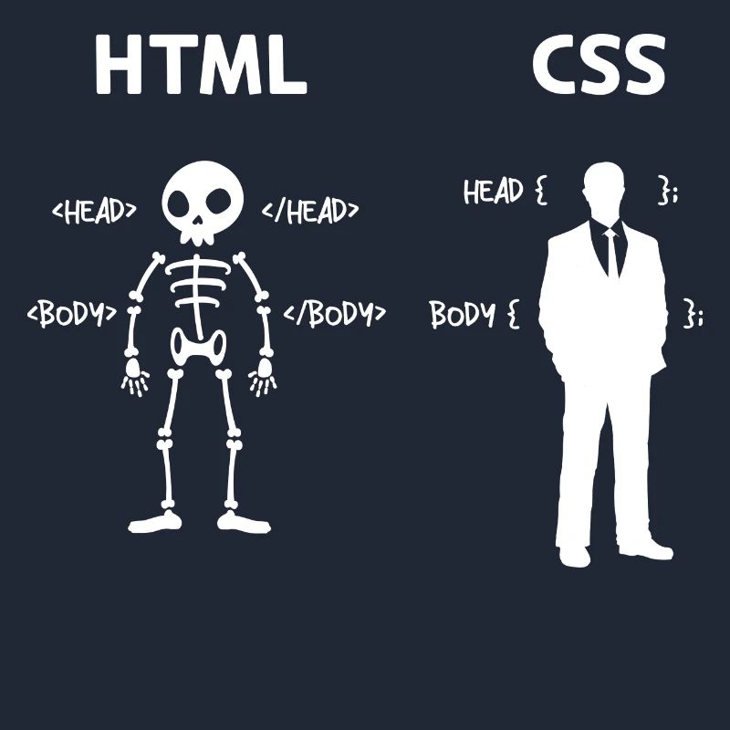 Code Css C++ Php Java Developer Code Scripting