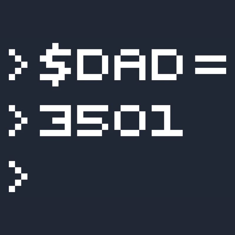 DAD Terminal de Pixels Nerd Code 8-Bits Rétro