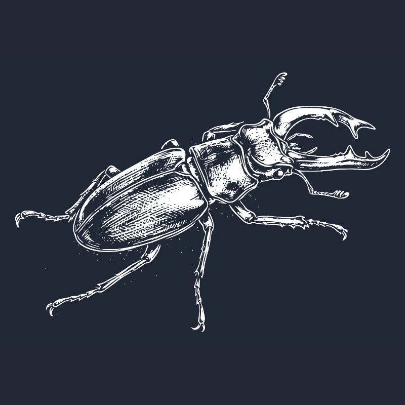 Conception de gros insectes