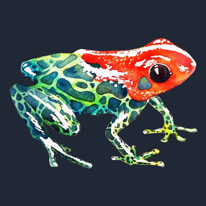 Frog with a red head