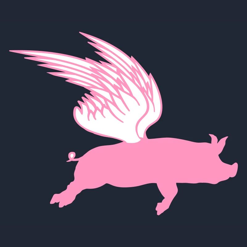 When Flying Wings Flying Pigs Can Fly