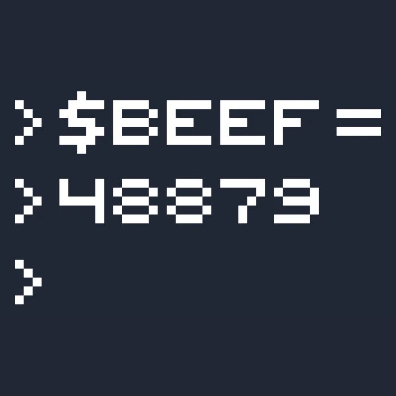 BEEF 8-bit Code Nerd Pixel Terminal Rétro