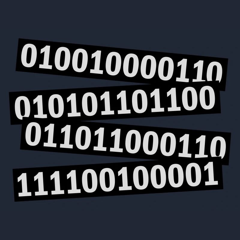 Binary Code Program Language